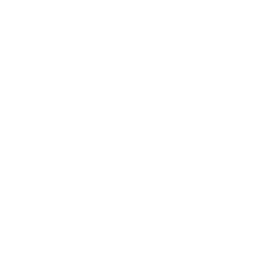 Jetour Logo