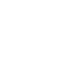 Peroni Logo